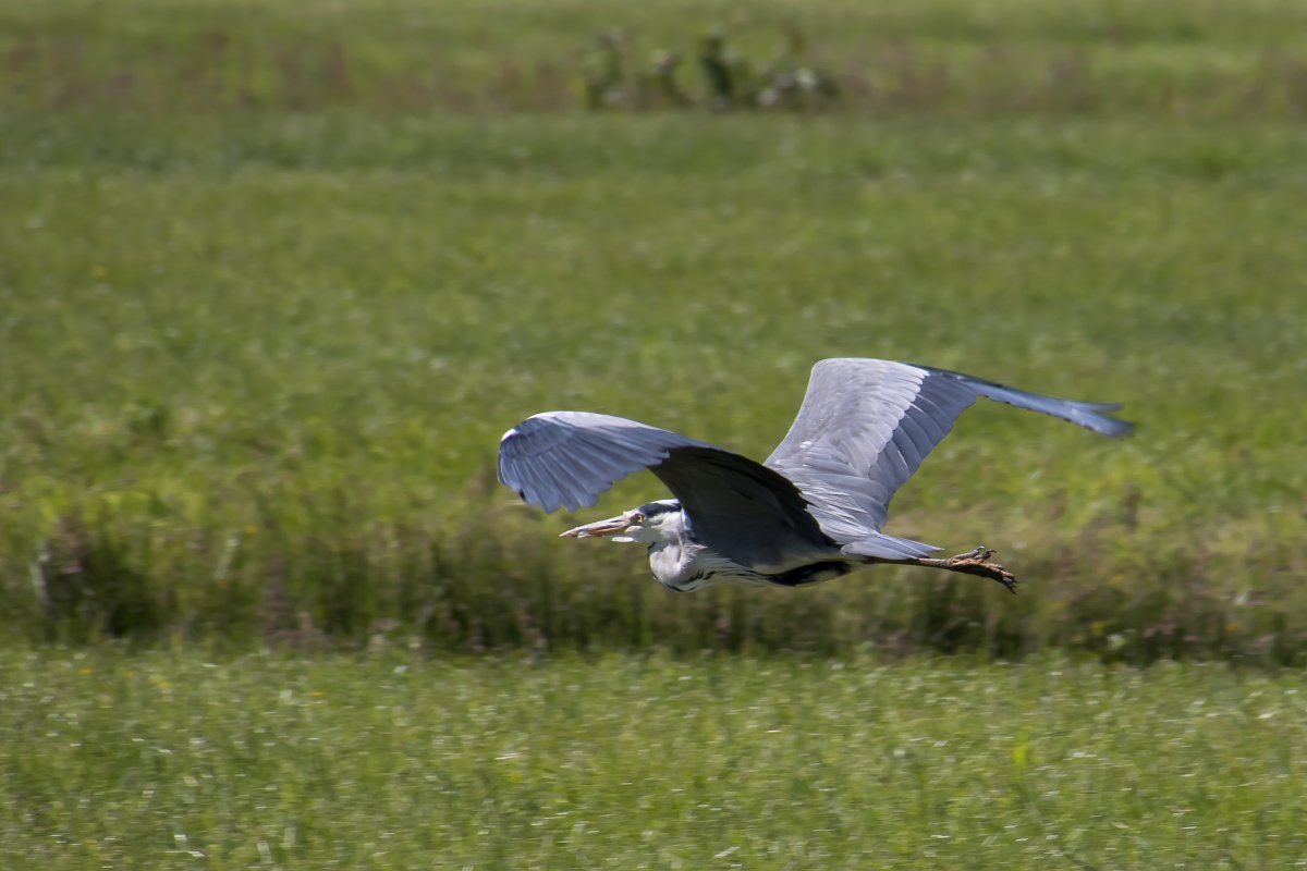 foto: [20210614PV4062A]